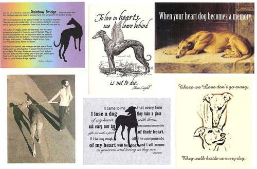 Greyhound Sympathy Card Assortment