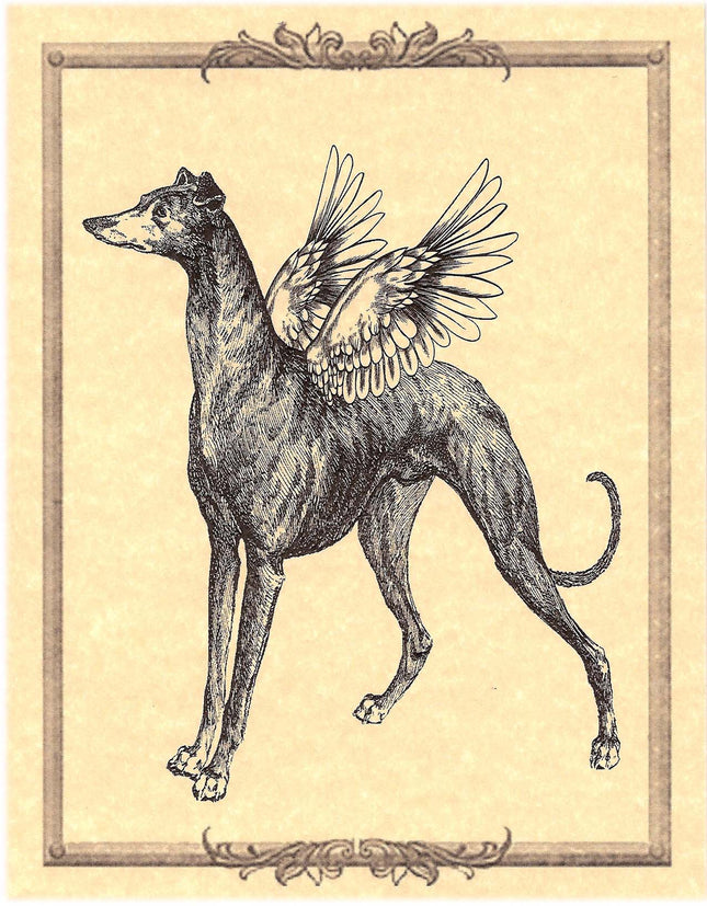 Vintage Greyhound Note Card Set