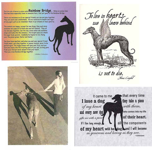 Greyhound Sympathy Card Assortment