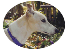 Load image into Gallery viewer, Greyhound Note Card Set
