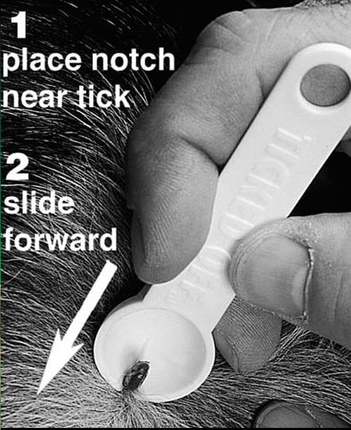 Tick Remover