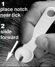 Load image into Gallery viewer, Tick Remover
