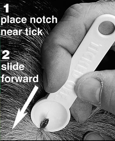 Tick Remover