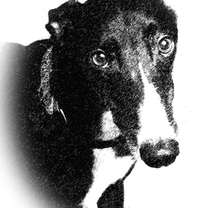 Greyhound Note Card Set