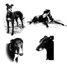 Load image into Gallery viewer, Greyhound Note Card Set
