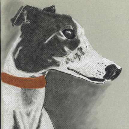 Greyhound Art Notecard Set
