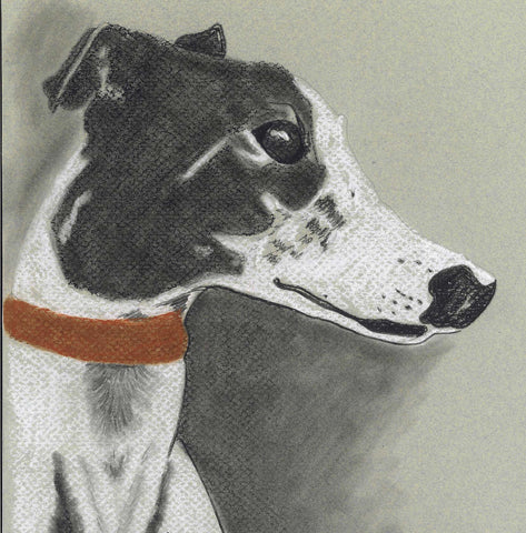 Greyhound Art Notecard Set