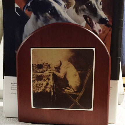Greyhound Bookends
