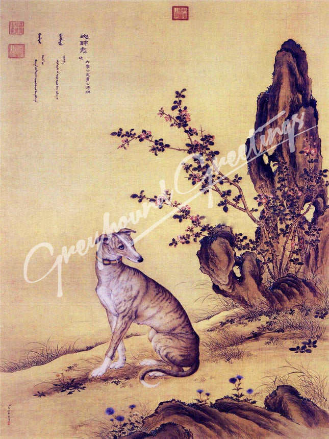 Greyhound Dog Notecards 