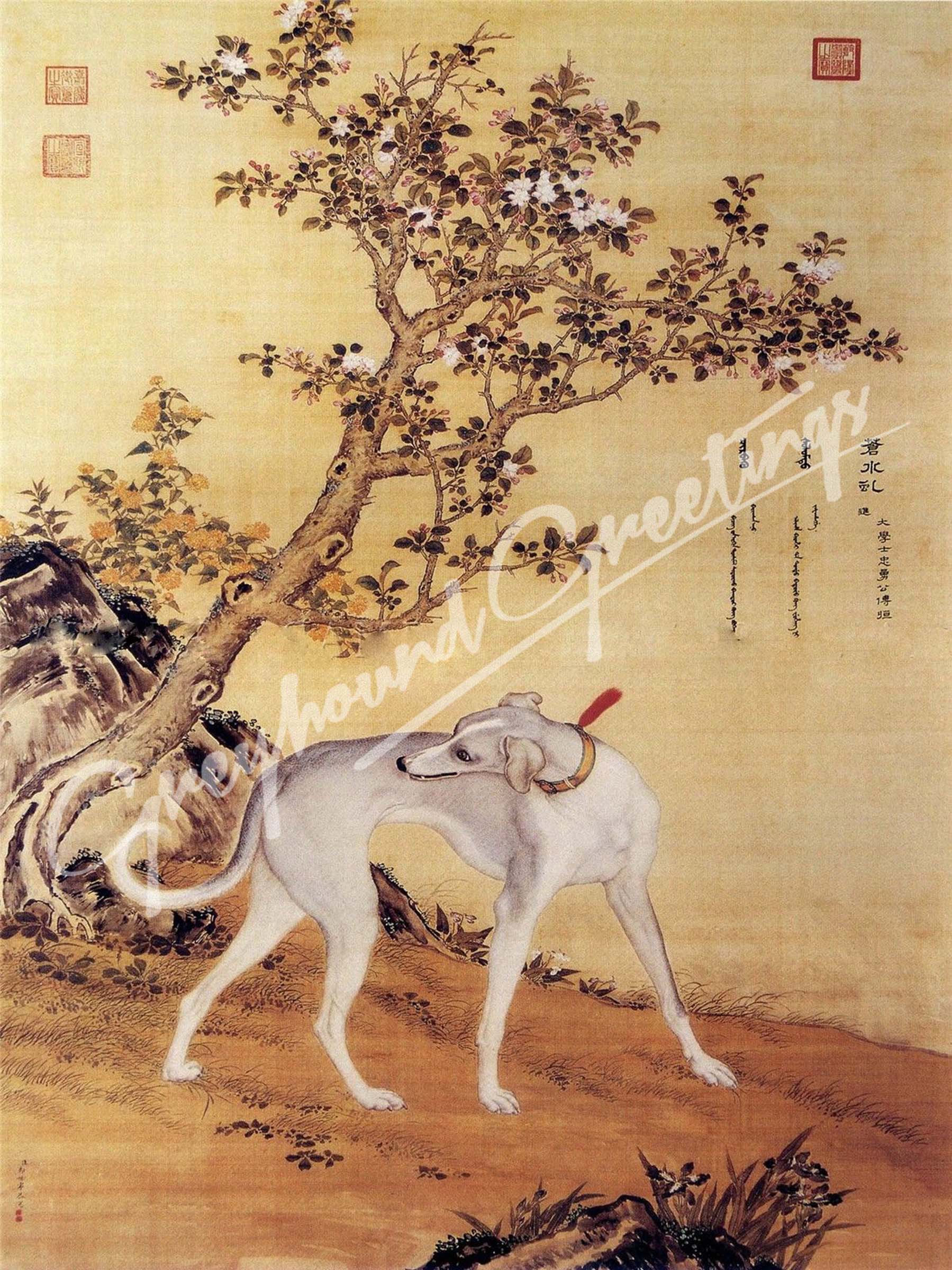 Ancient Art - Prized Greyhound Dogs Note Cards - set of 9 w