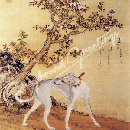 Greyhound Dog Notecards 
