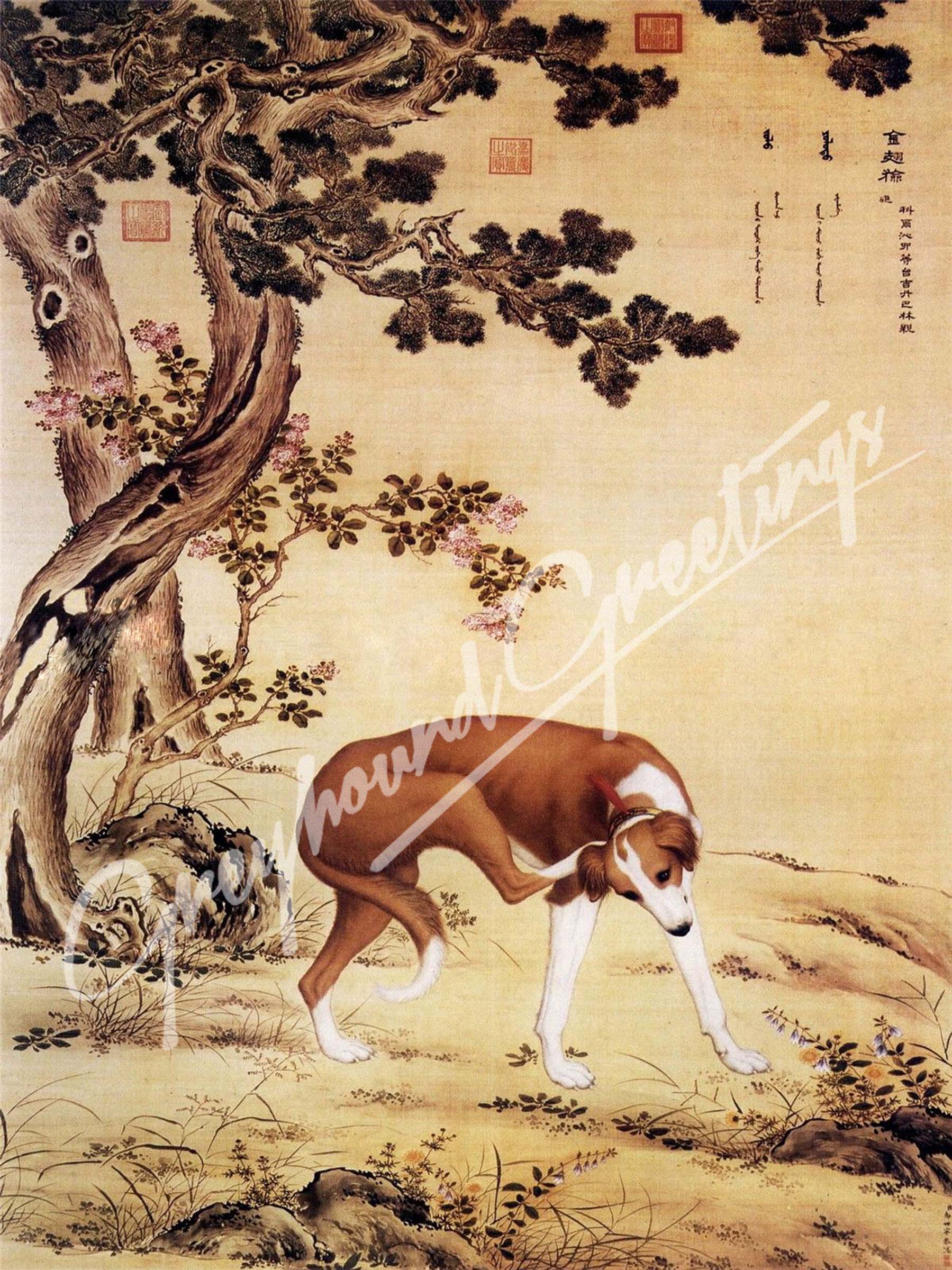 Ancient Art - Prized Greyhound Dogs Note Cards - set of 9 w