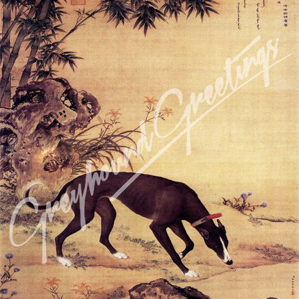 Greyhound Dog Notecards 