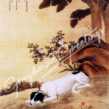 Greyhound Dog Notecards 