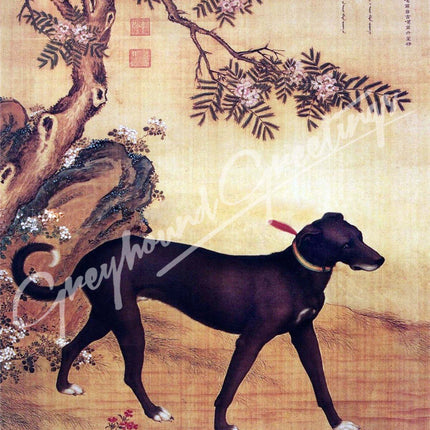 Greyhound Dog Notecards