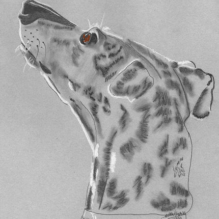 Greyhound Art Note Card Set