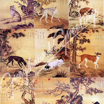 Greyhound Dog Notecards Set