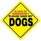 Dogs