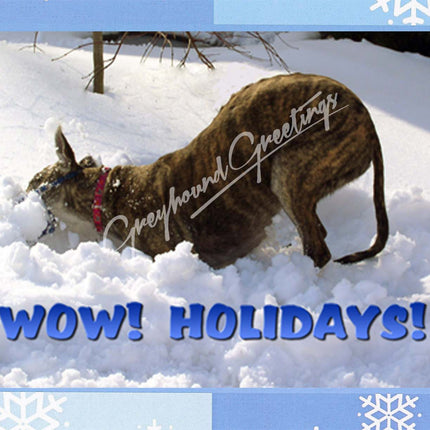 Greyhound Holiday Cards