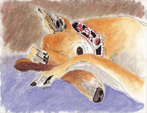 Greyhound Art Note Card Set