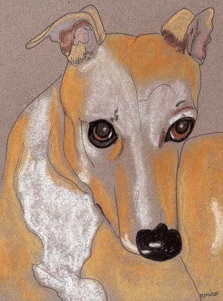Greyhound Art Note Card Set