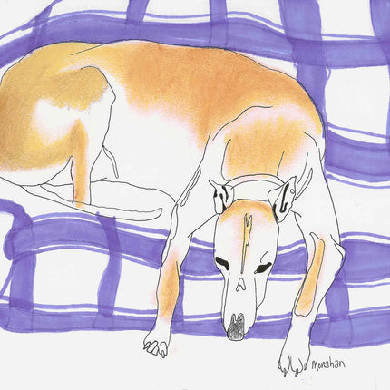Greyhound Art Note Card Set