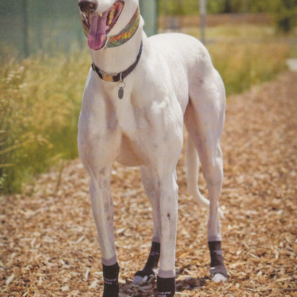 Power Paws Greyhound Socks