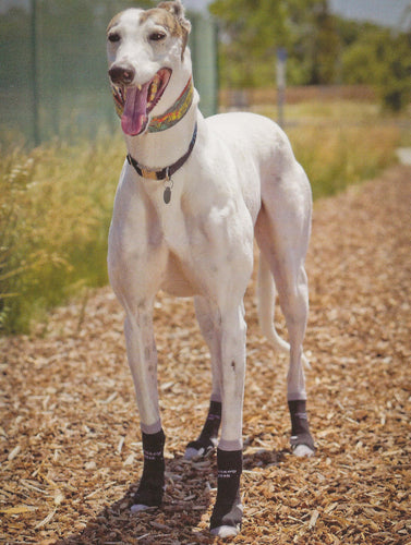 Power Paws Greyhound Socks