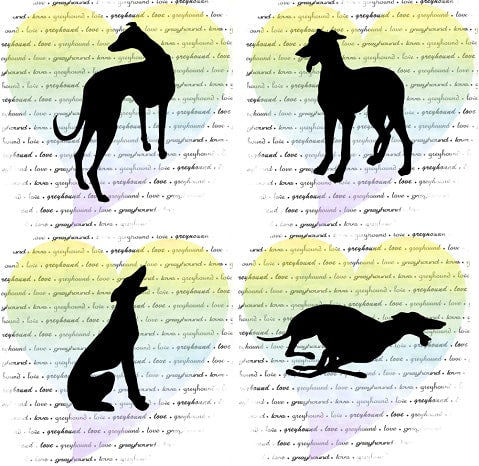 Greyhound Note Card Set