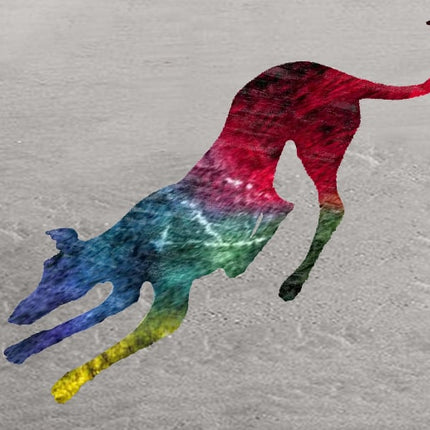Greyhound Note Card Set