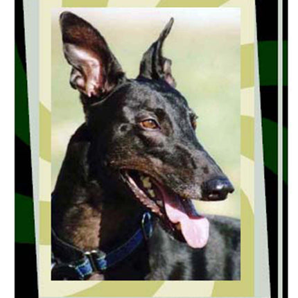 Many Moods II Greyhound Dog Note Cards Whippet Galgo