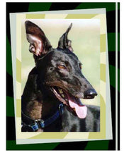 Load image into Gallery viewer, Many Moods II Greyhound Dog Note Cards Whippet Galgo
