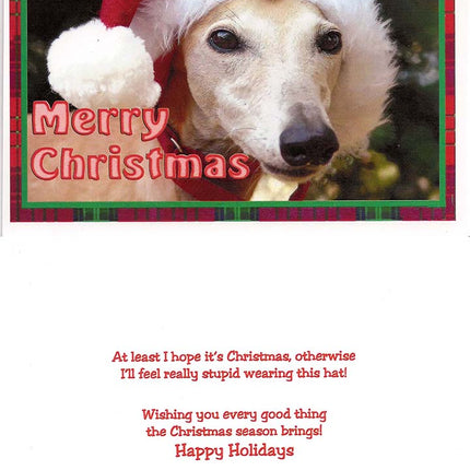 Greyhound Christmas Card Set