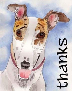 Greyhound Thank You Cards Assortment