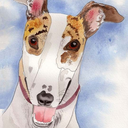 Greyhound Art Note Card Set
