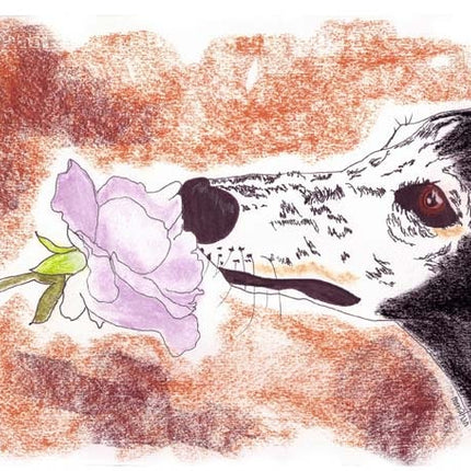 Greyhound Art Note Card Set