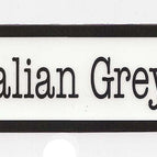 Italian Greyhound