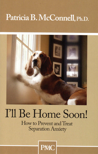 I'll Be Home Soon Book