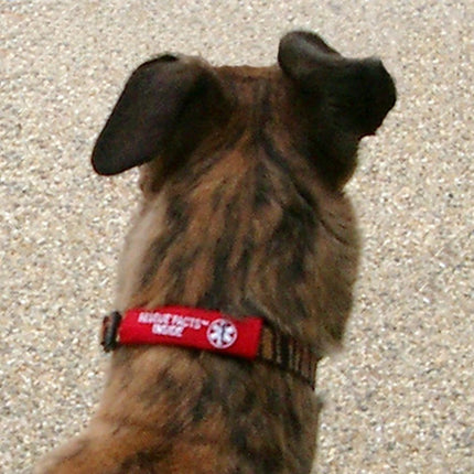 Rescue Facts Pet ID Wrap Emergency Information Pack BOGO