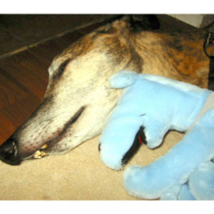Many Moods II Greyhound Dog Note Cards Whippet Galgo