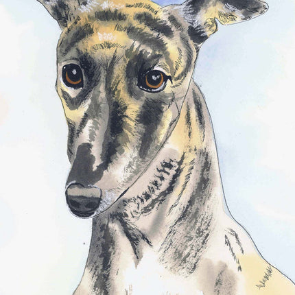 Greyhound Notecard Assortment