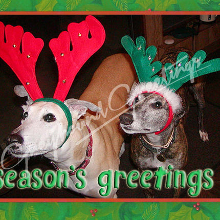 Greyhound Christmas Card Set