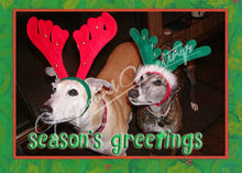 Load image into Gallery viewer, Greyhound Christmas Card Set
