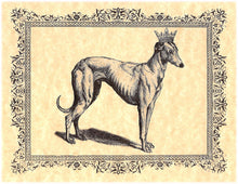 Load image into Gallery viewer, Vintage Greyhound Note Card Set
