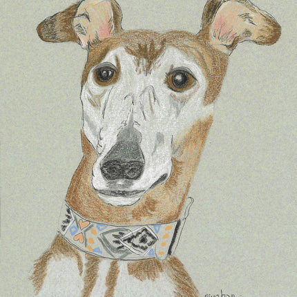 Greyhound Art Note Card Set