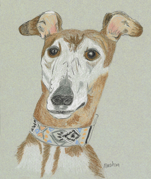 Greyhound Art Note Card Set