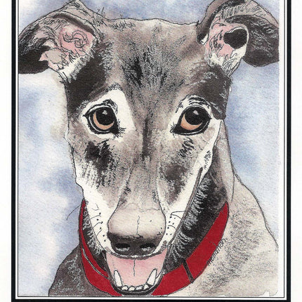 Greyhound Thank You Cards Assortment