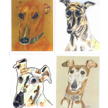 Greyhound Notecard Assortment