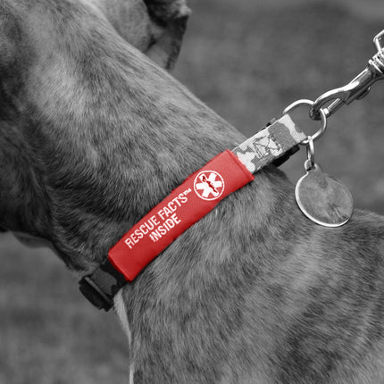 Rescue Facts Pet ID Wrap Emergency Information Pack BOGO