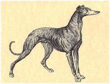 Load image into Gallery viewer, Vintage Greyhound Note Card Set
